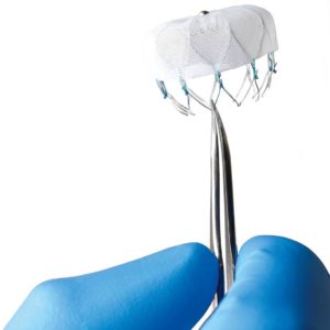 WATCHMAN_physicianHand