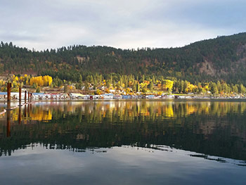 NS1_AutumnInBayview_RosieWilly_800px